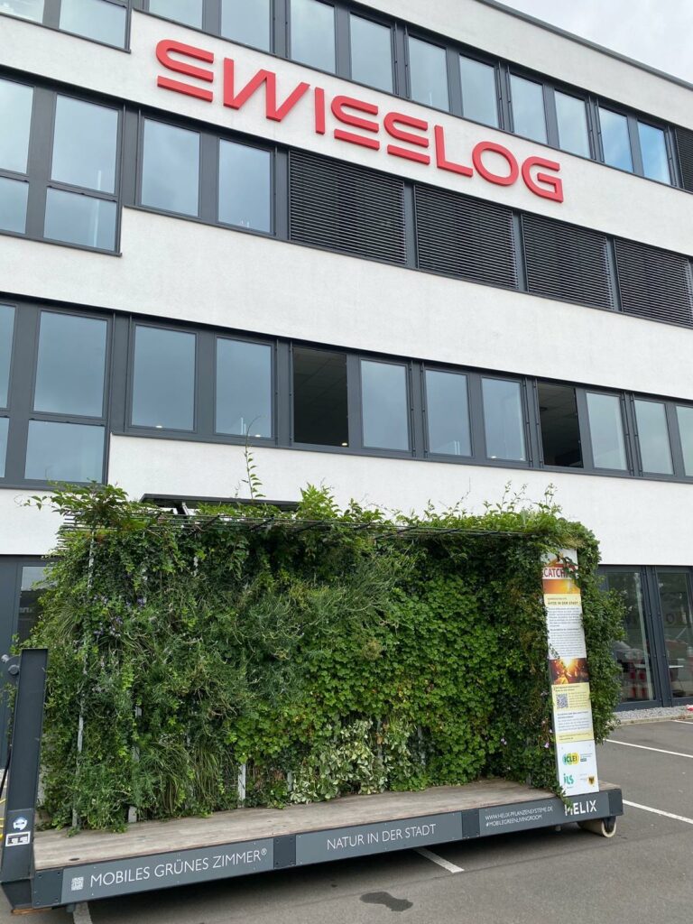 Temporäre Begrünung auf dem Parkplatz im Gewerbegebiet Dorstfeld